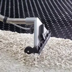 Carpet and Surface Cleaning
