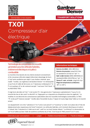 TX01 Flyer