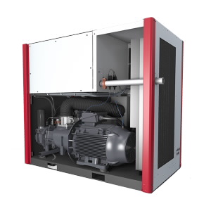 ESM-VS lubricated screw compressors